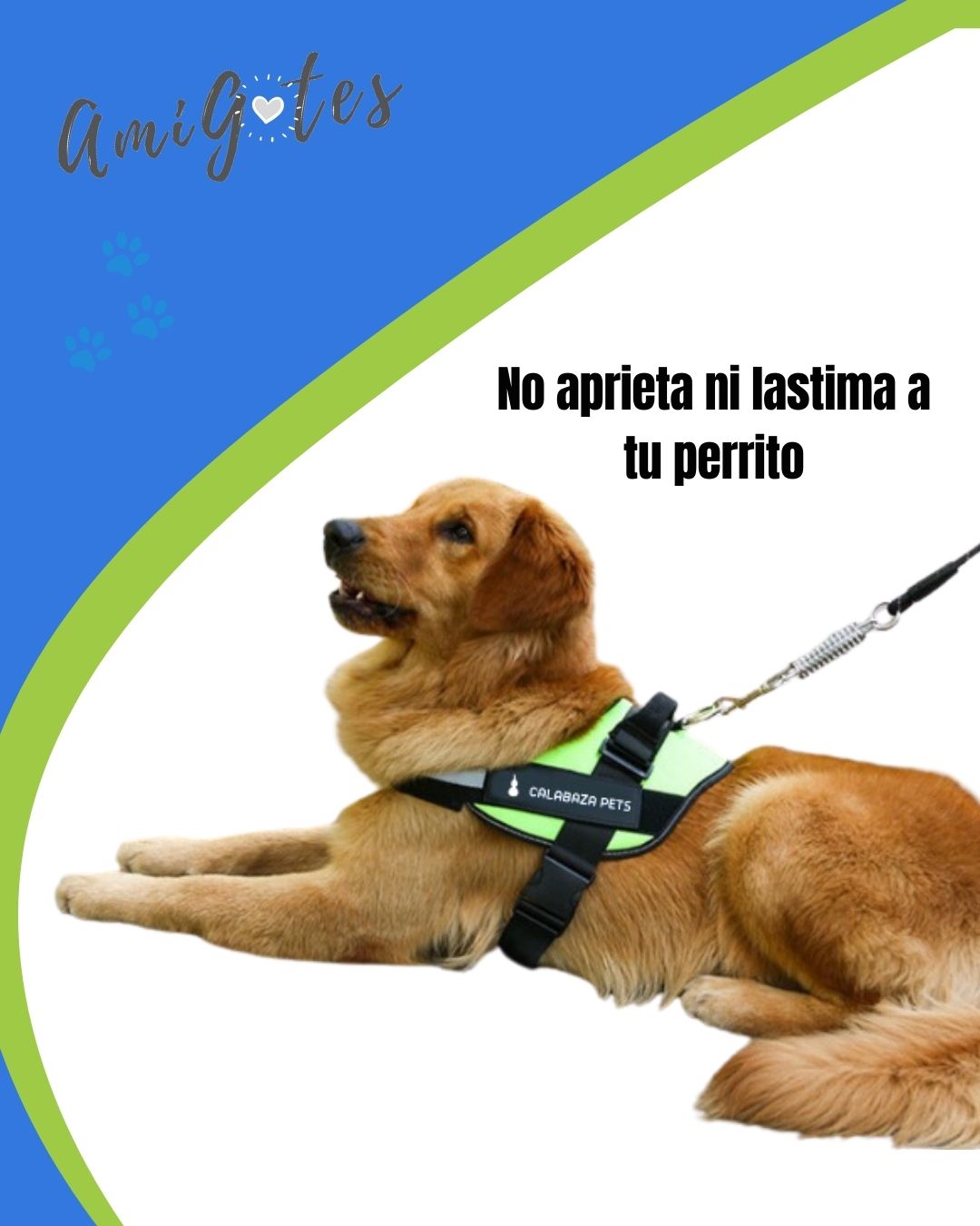 Arnés Antitirones Negro Talla L - Vista alternativa