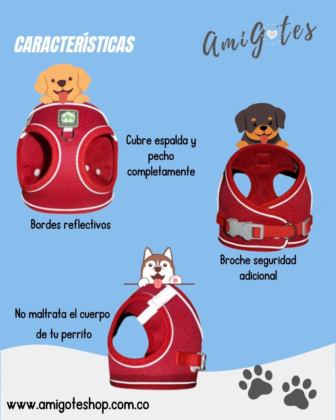 Arnés Con Traílla Sencilla - M - Vista alternativa