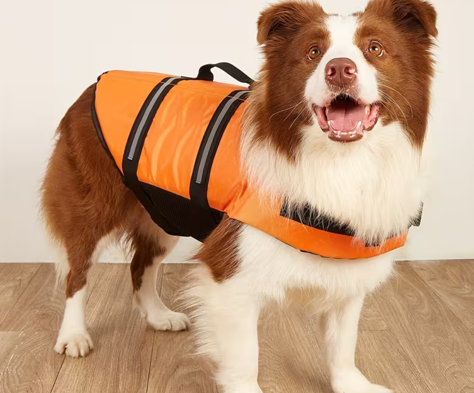 Chaleco Salvavidas Para Perros-xxl - Vista alternativa