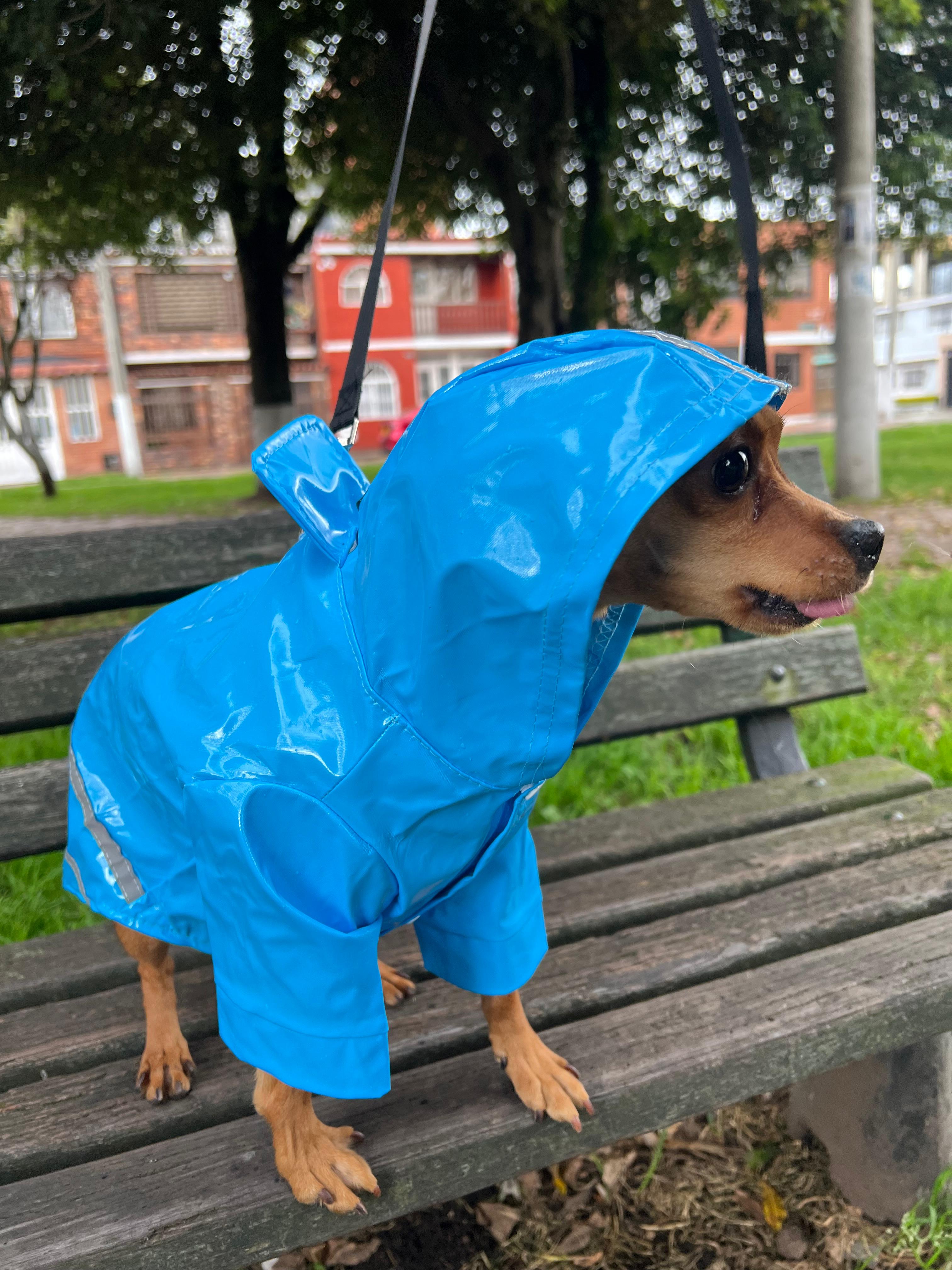 Chaqueta Impermeable Raza Pequeña - Vista alternativa