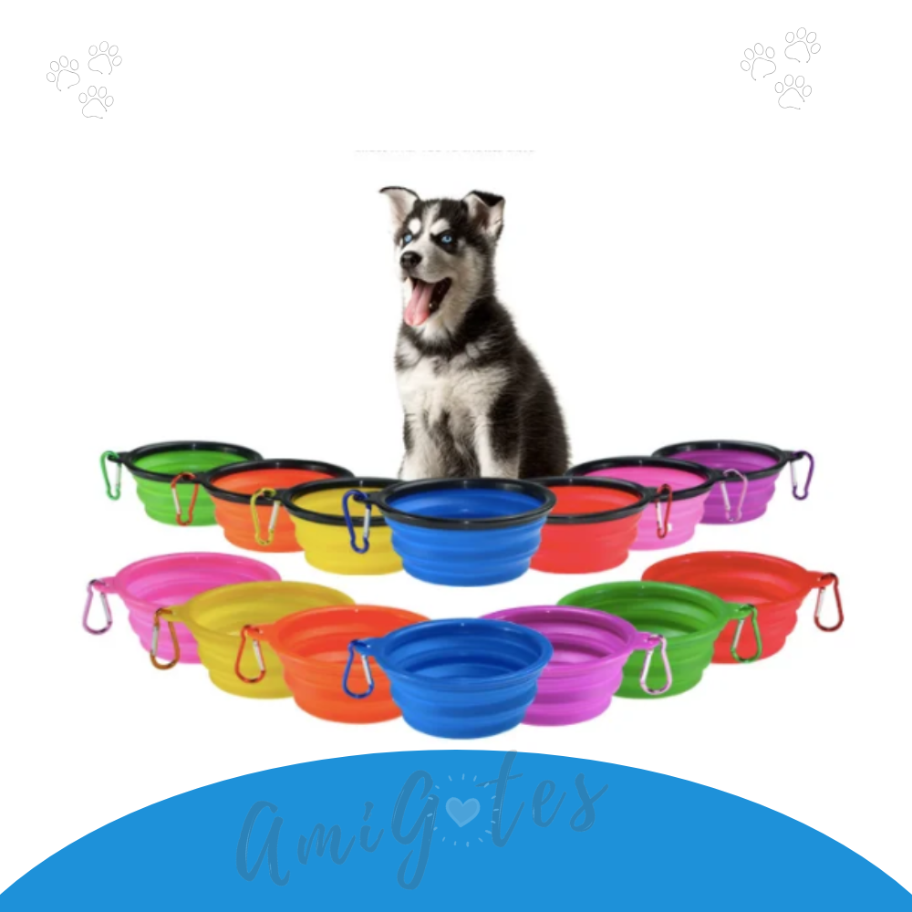 Comedero Plegable Y Portable - Accesorios para mascotas AmigotesShop