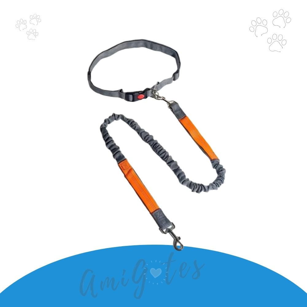 Correa manos libres - Comprar en AmigotesShop