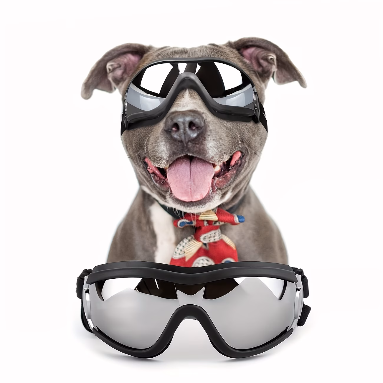 Gafas Para Perros  - Vista alternativa