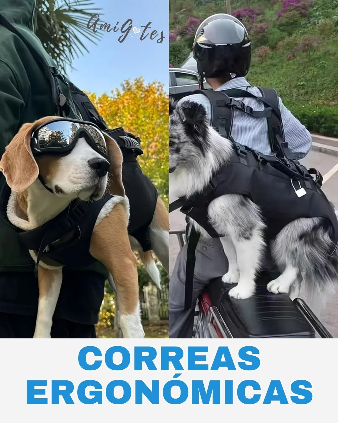 Maleta Cargador Para Mascotas - Talla L - Vista alternativa
